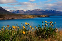 Западные фьорды - край земли в Исландии