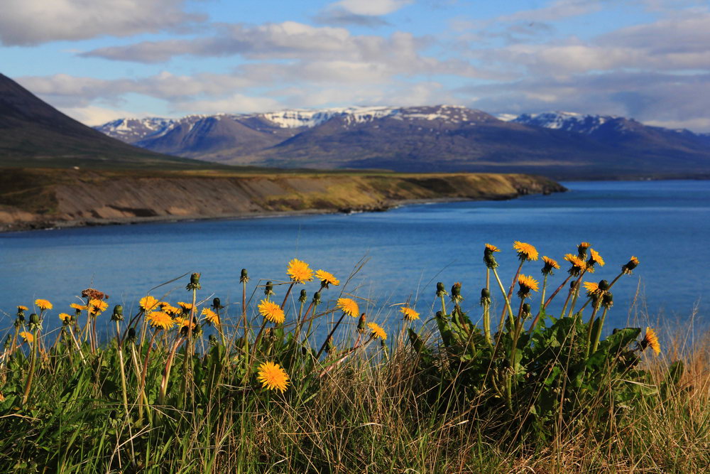 Западные фьорды в Исландии - нетронутый туристами уголок природы