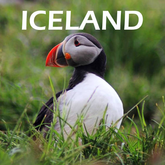 vislandii logo